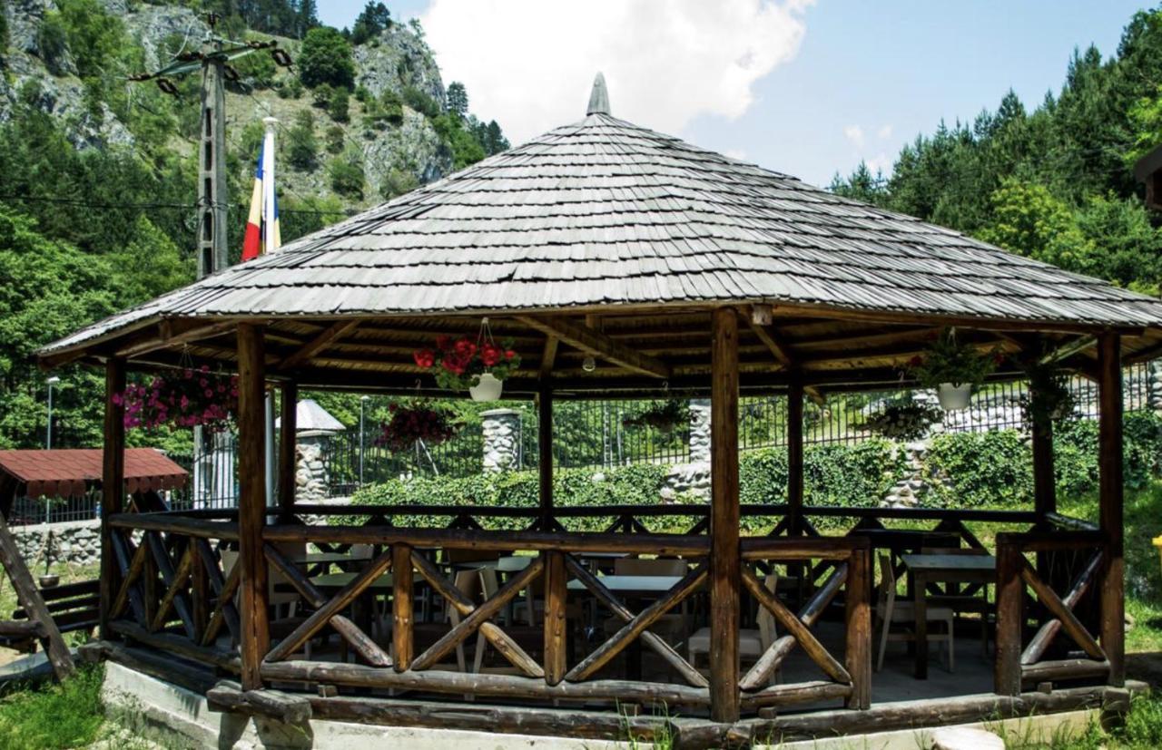 Pensiunea Tobo Baia de Fier Exterior foto
